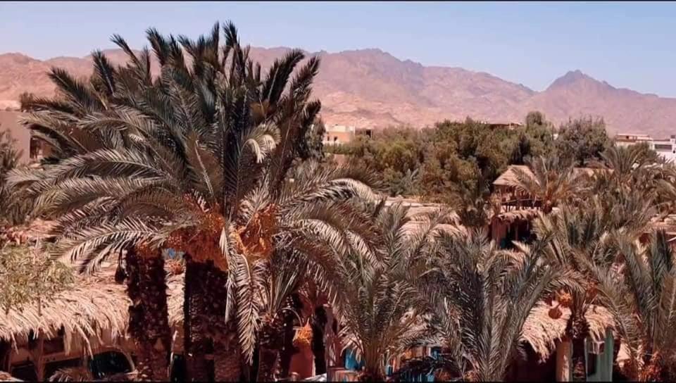 A5Ena House Villa Dahab Buitenkant foto